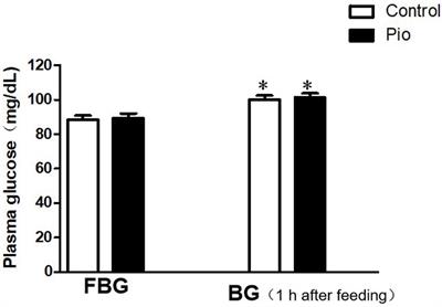 Pioglitazone Ameliorates Renal Ischemia-Reperfusion Injury via Inhibition of NF-κB Activation and Inflammation in Rats